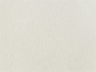 Fabric: Stamskin White