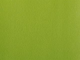 Fabric: Stamskin Lime
