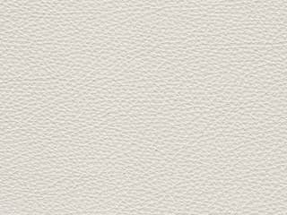 Upholstery: Le Mans White Leather - 15C1