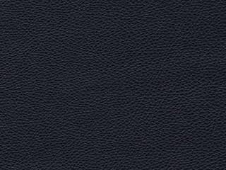 Upholstery: Le Mans Dark Blue Leather - 15CY