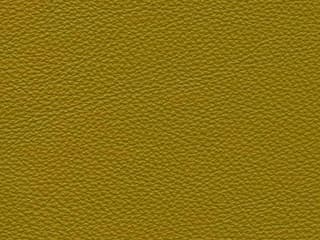Upholstery: Le Mans Cedar Leather - 15D2