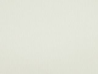 Fabric: Factory Polyester Beige