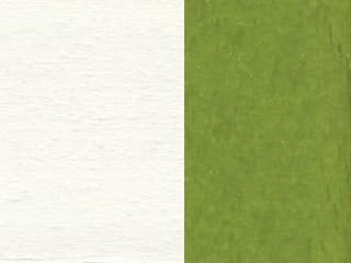Polywood Finish: Lime / White Polywood