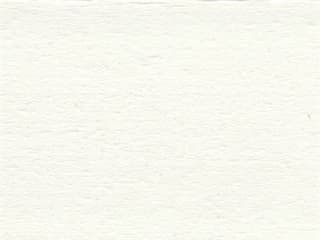 Polywood Finish: White Polywood