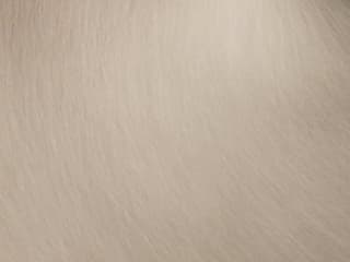 Finish: Brushed Nickel