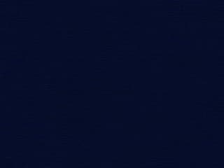 Fabric: Dark Blue