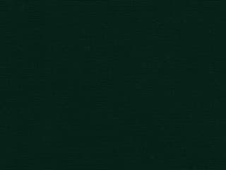 Fabric: Forest Green