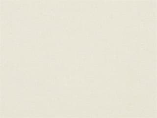 Fabric: Oyster