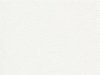 Finish: Arctic White