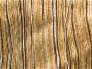 Trim: Pampas Fringe