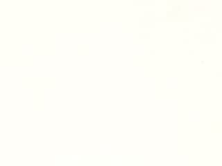 Finish: White