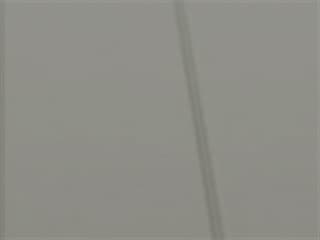 Top Finish: Storm MGP with Slat Pattern