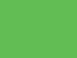 Planter Finish: Bright Green