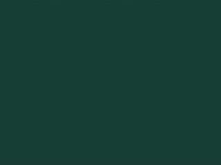 Strap: Forest Green