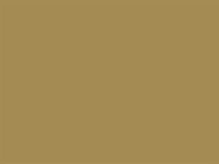 Finish: Brassy Gold