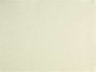 Fabric: Masterline Latte