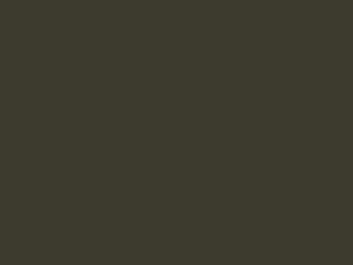 Fabric: Coffee