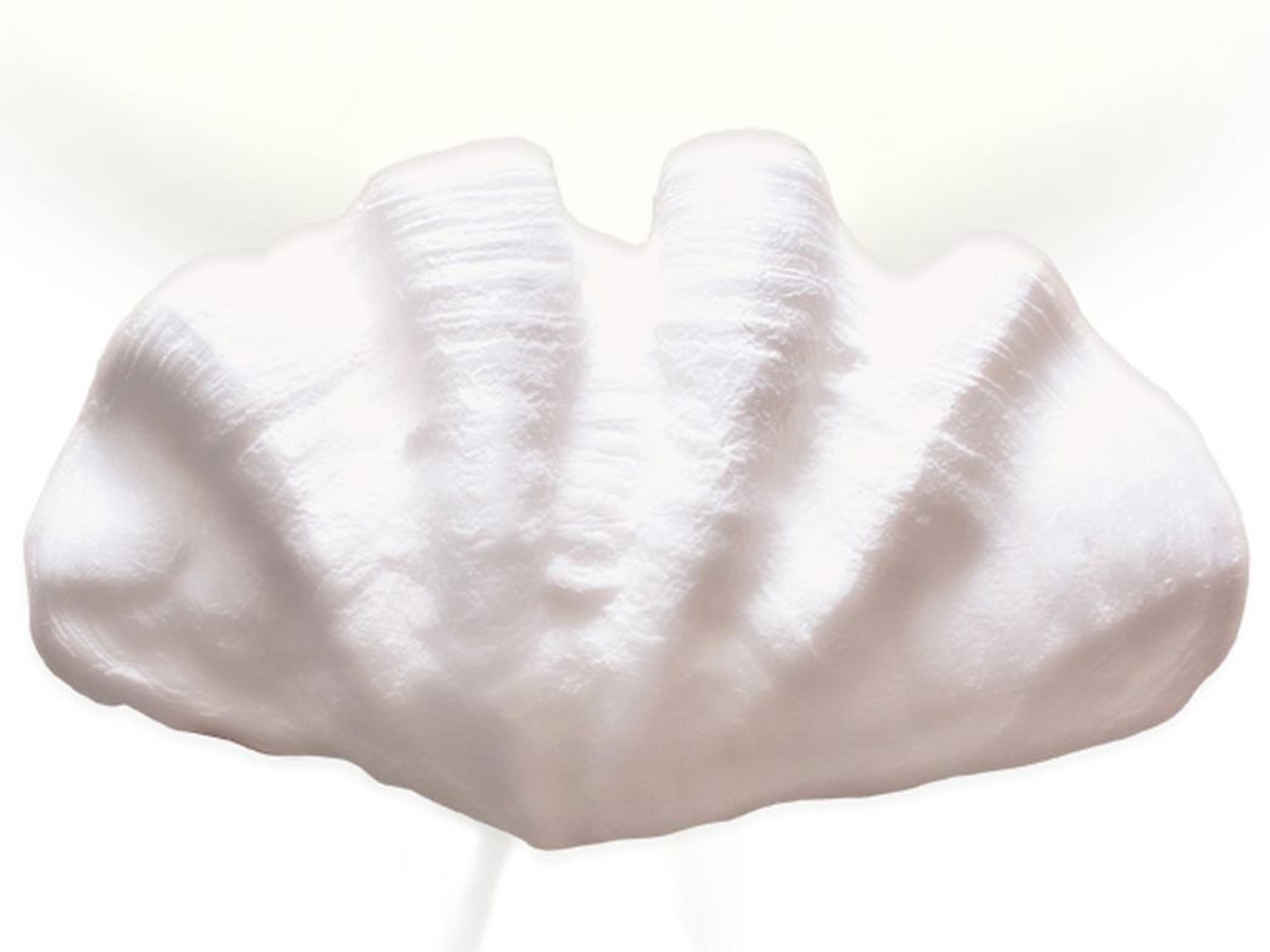 Fiji 2-Light White Wall Sconce