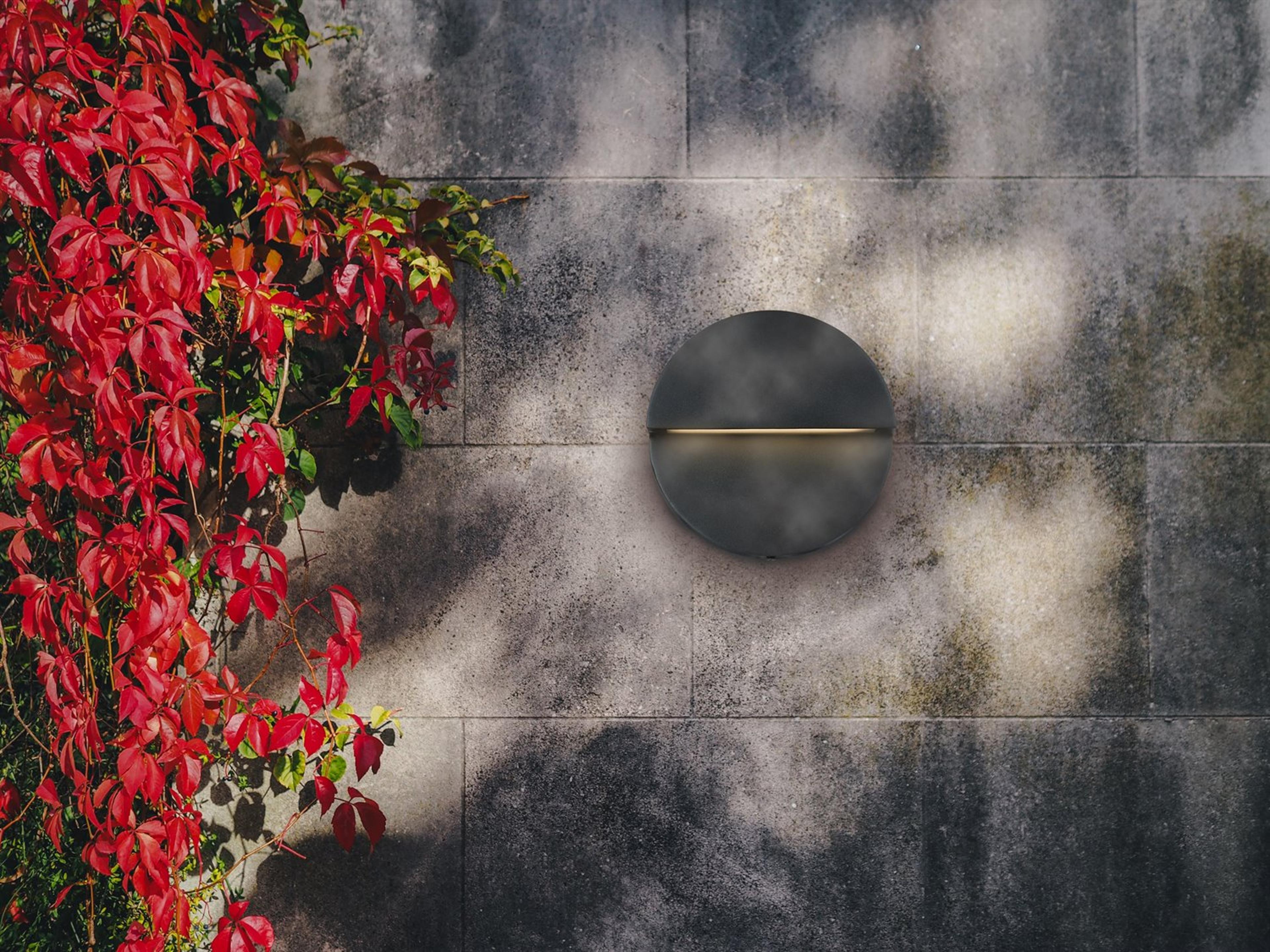 Abra Mona Lisa 1-Light Outdoor Wall Light