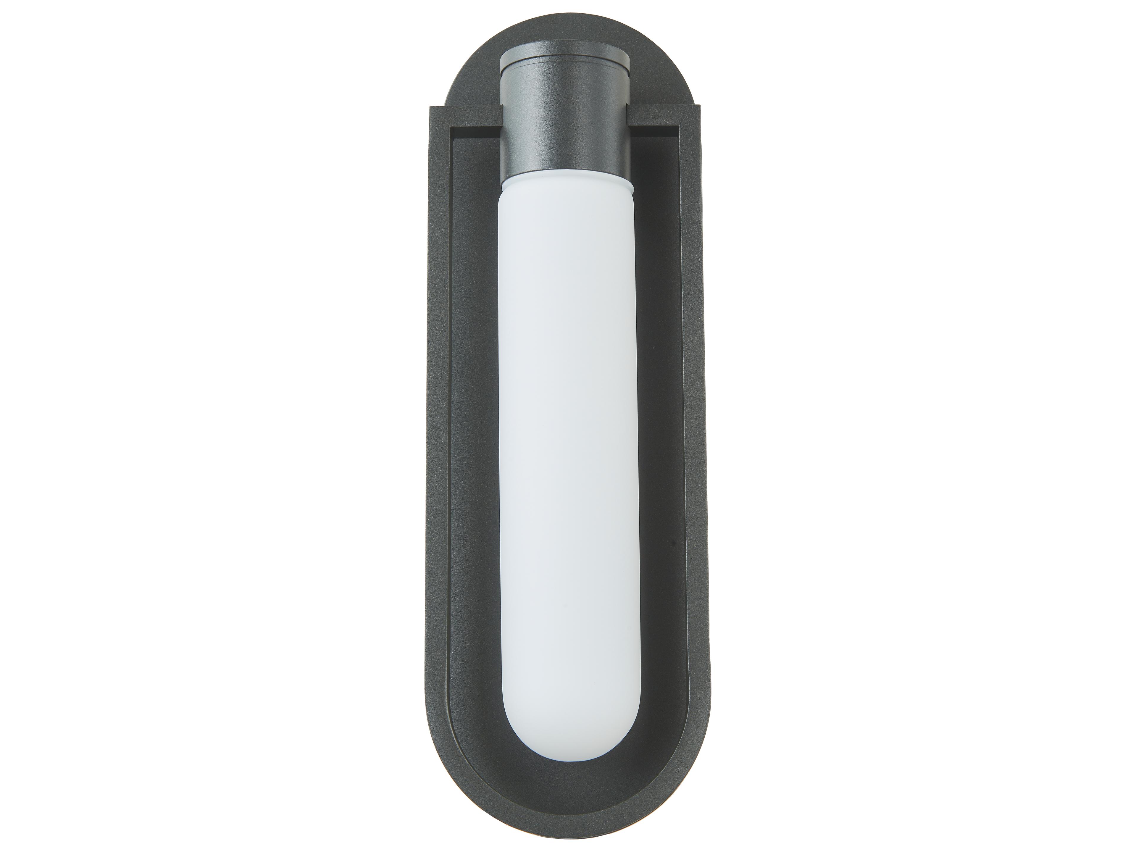 Abra Siren 1-Light Outdoor Wall Light