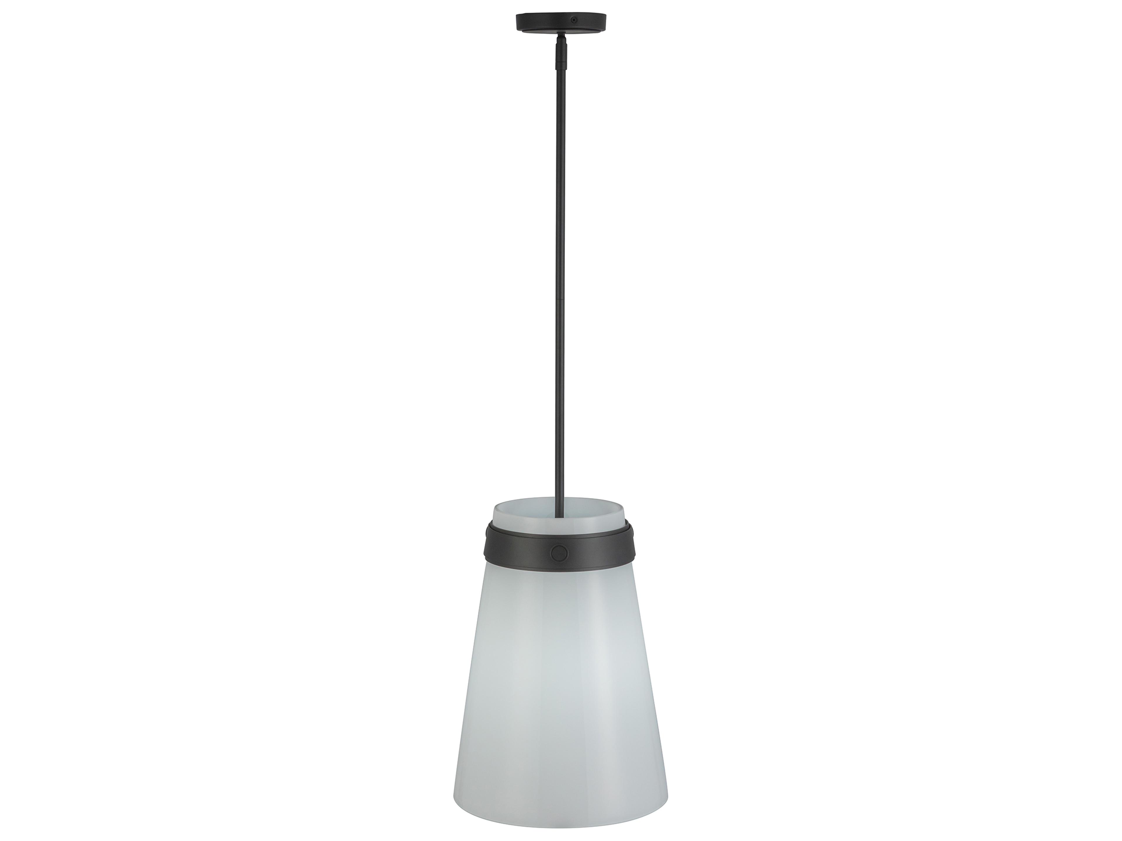 Artcraft Dahlia 1-Light Black Mini Pendant