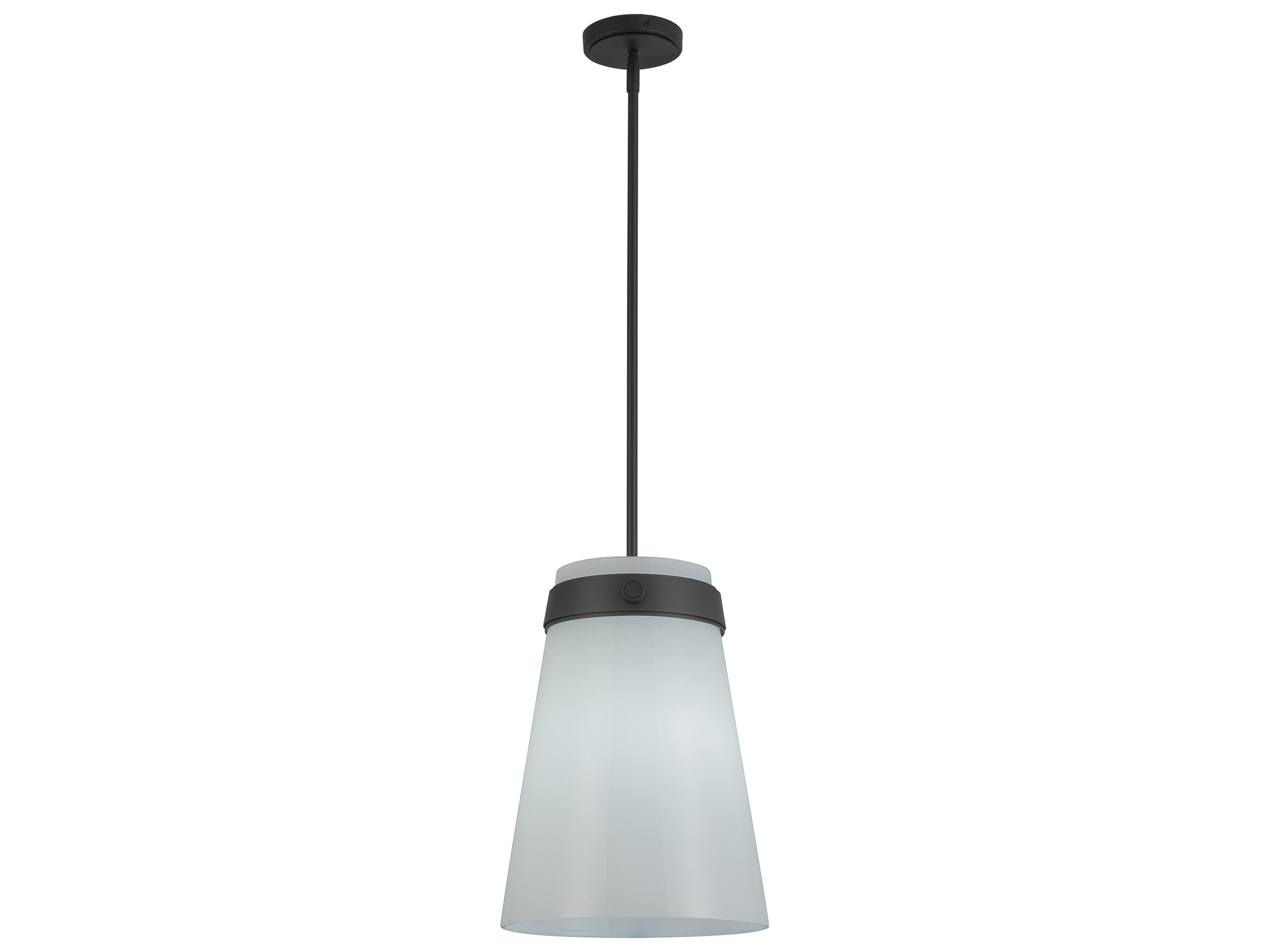 Artcraft Dahlia 1-Light Black Mini Pendant