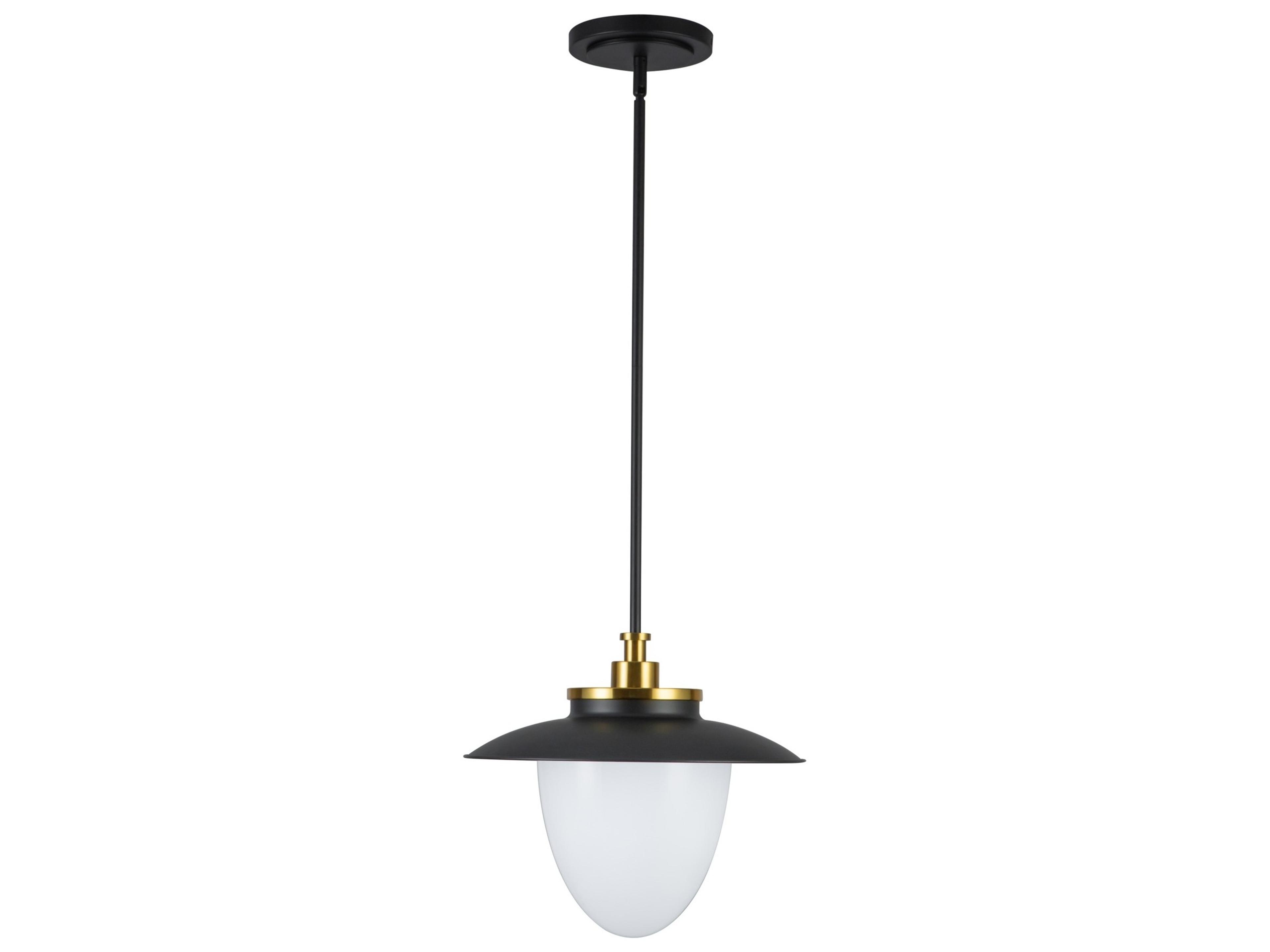 Dahlia Pendant Light in Black and Brass