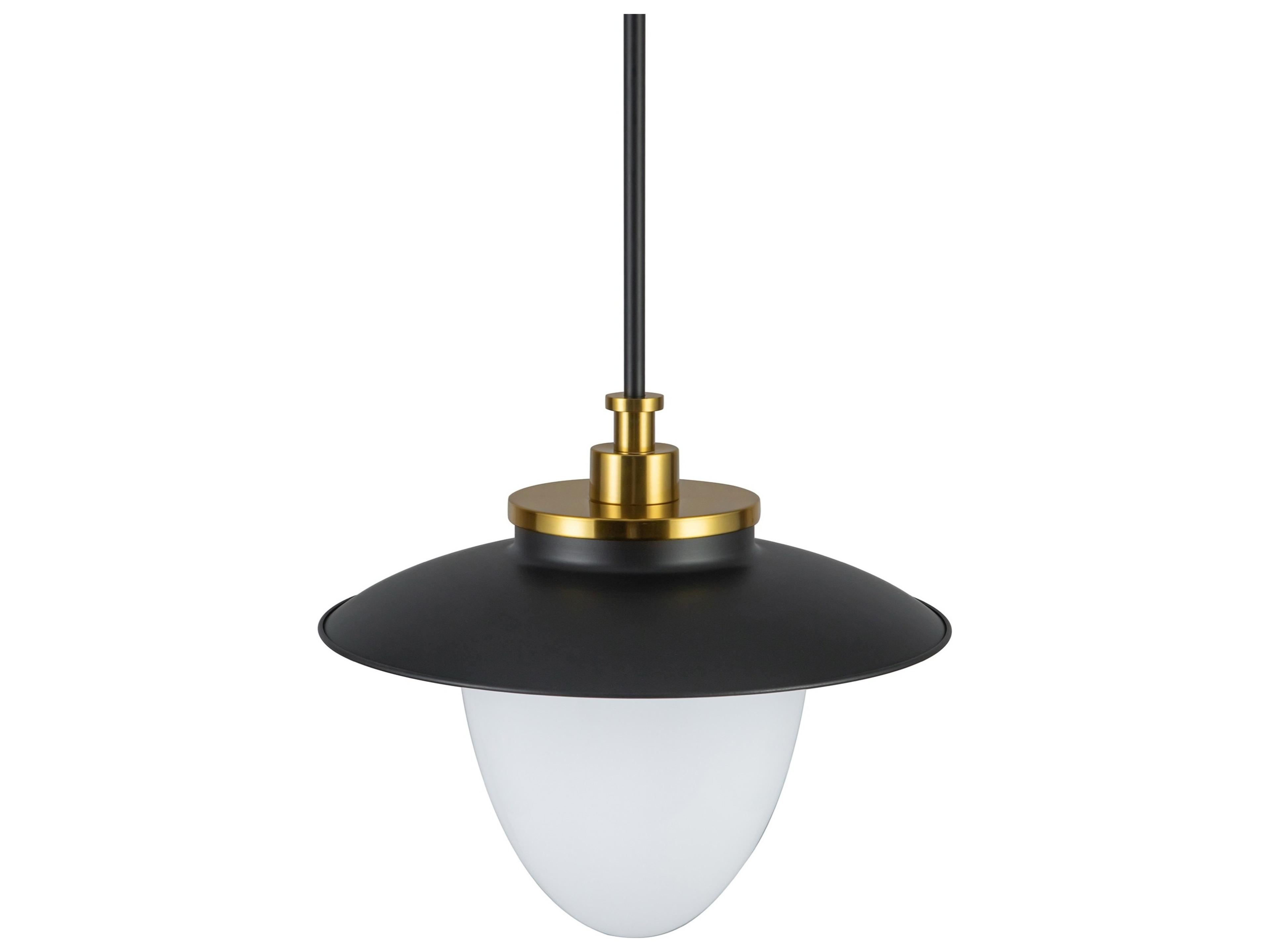 Artcraft Dahlia 1-Light Black Pendant