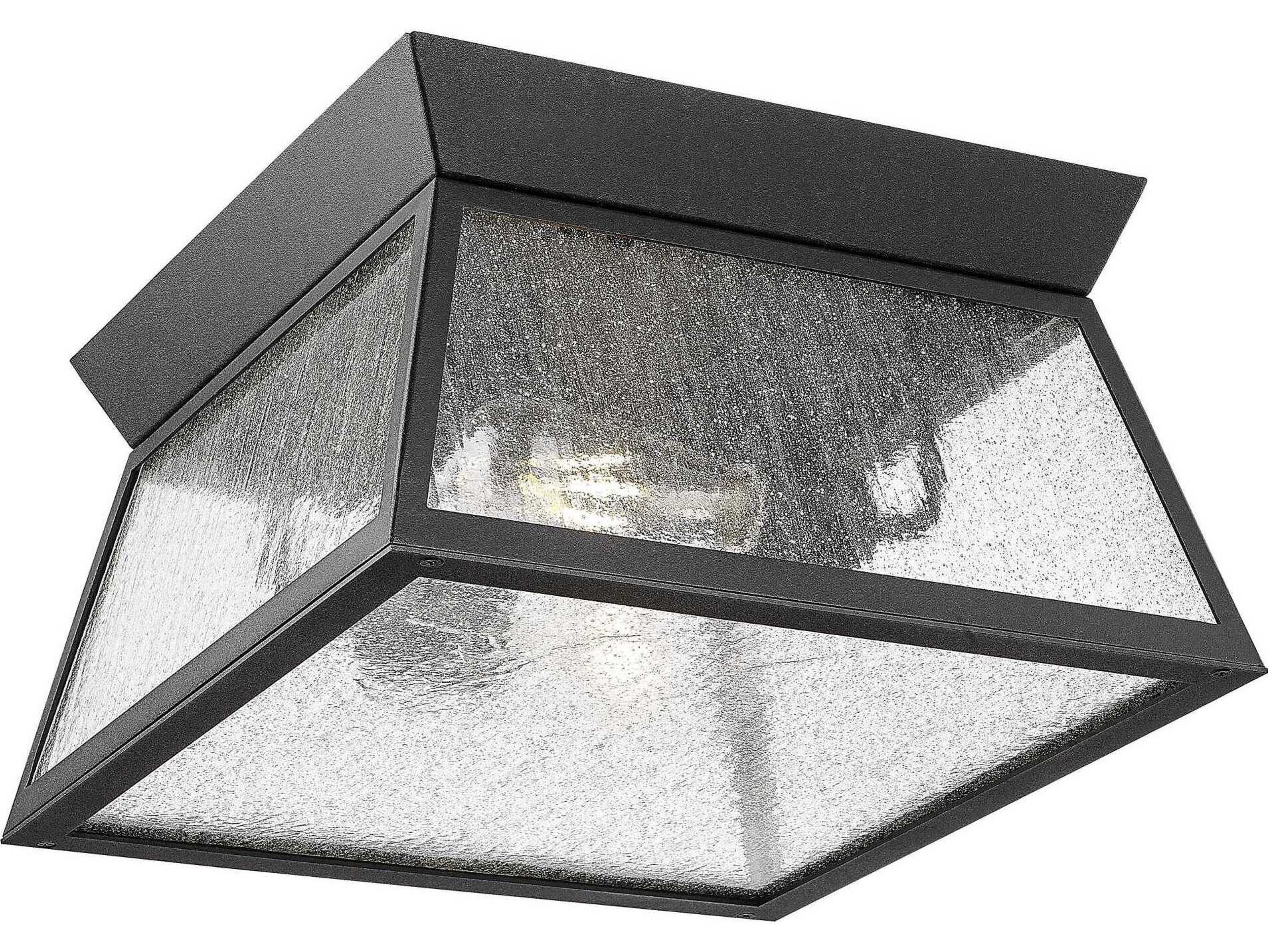 Lucian 2-Light Outdoor Ceiling Light