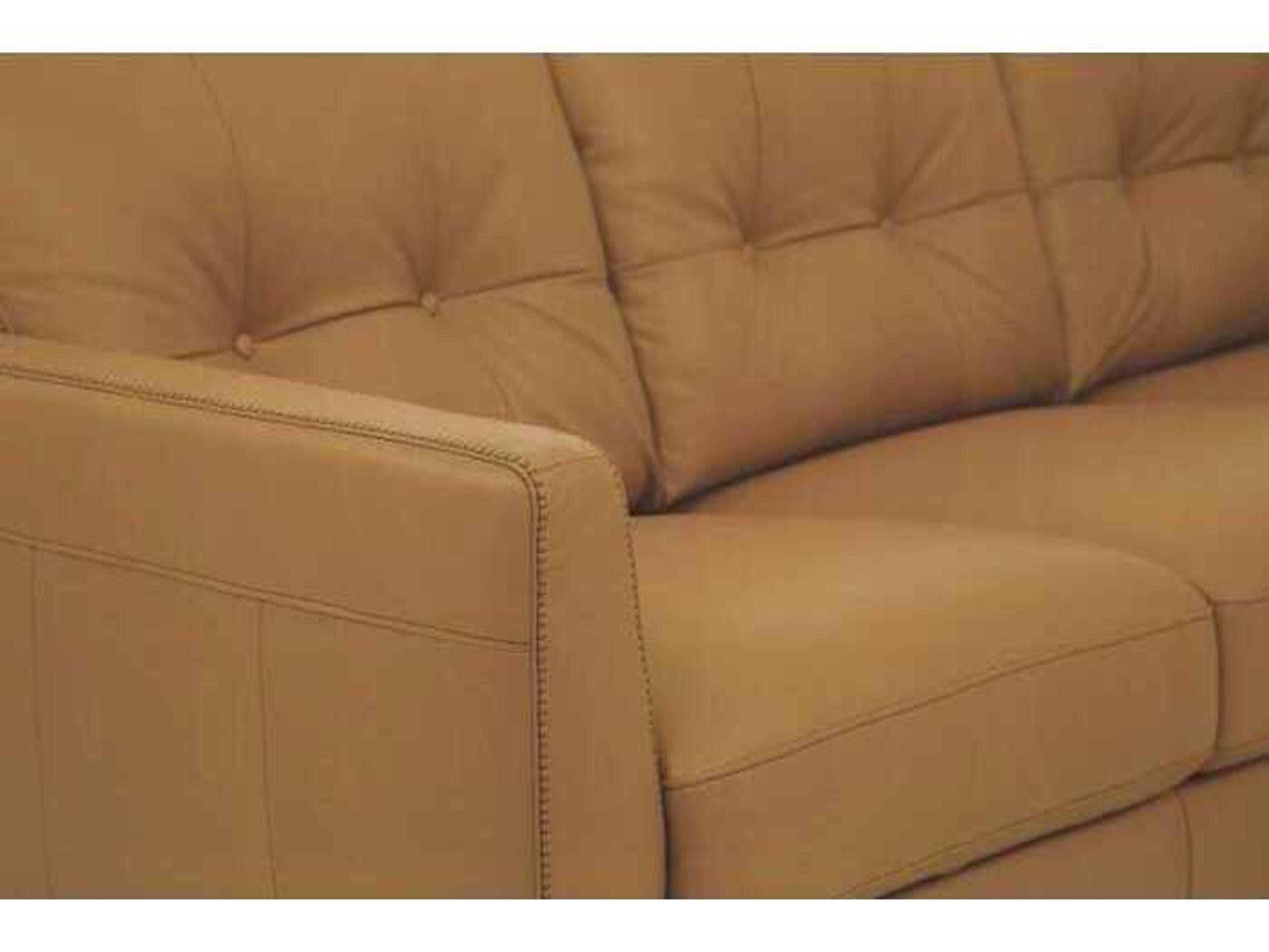 Acme Furniture Radwan Camel Brown Leather Sofa