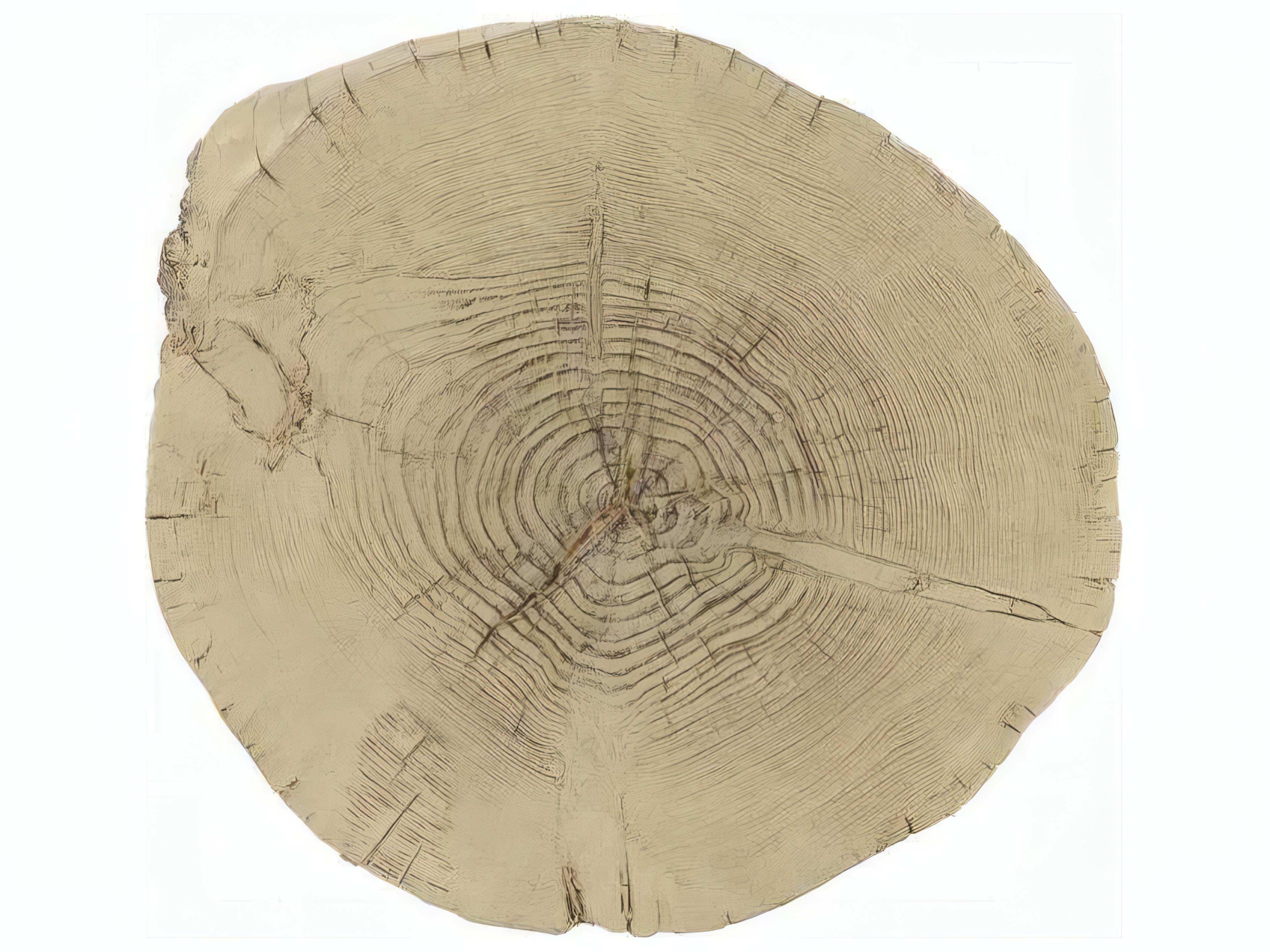 Acme Furniture Gene Round Faux Cement Natural Brown End Table