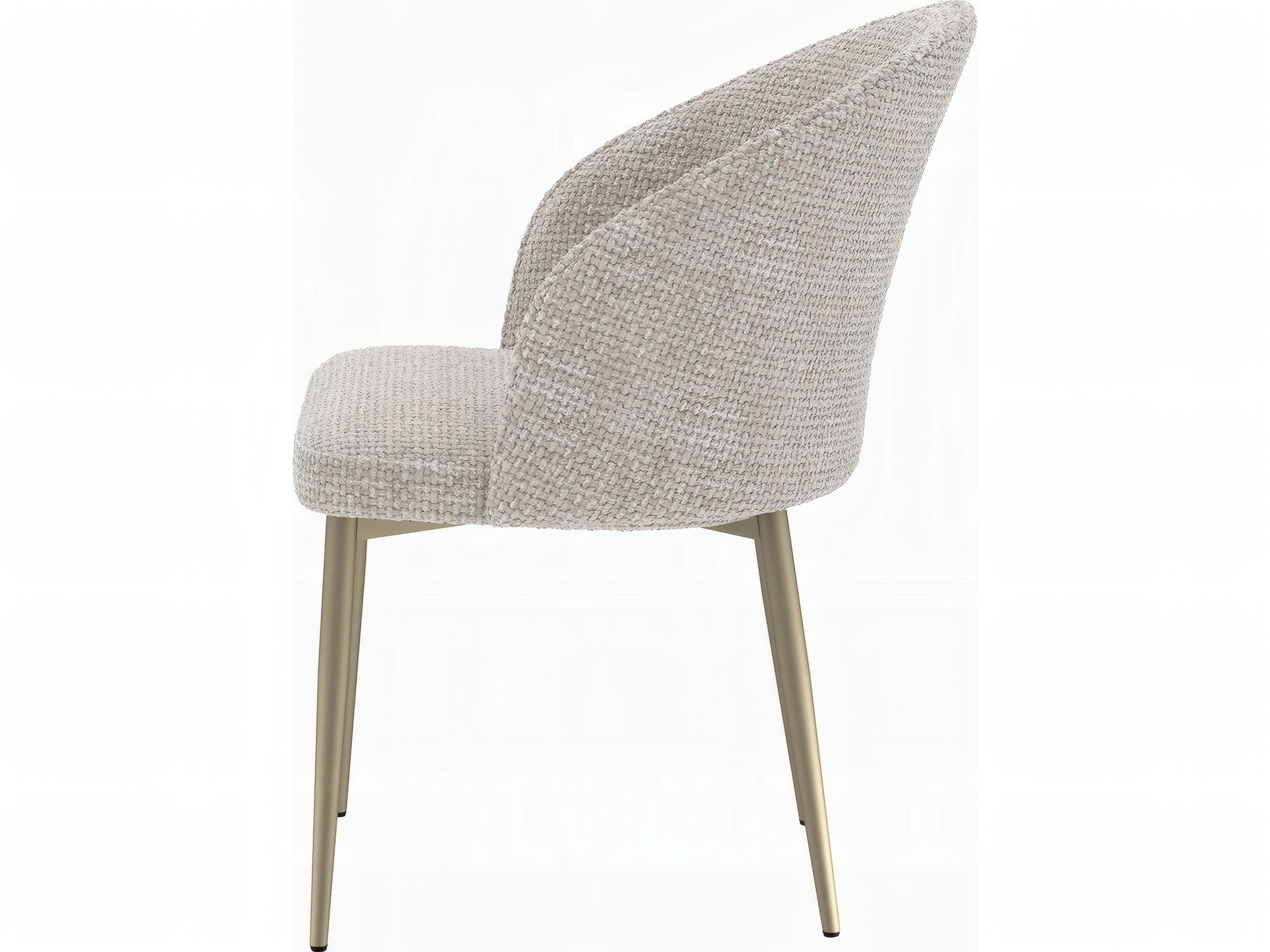 Acme Furniture Cora Plywood Champagne Upholstered Armless Dining Chair Set of 2