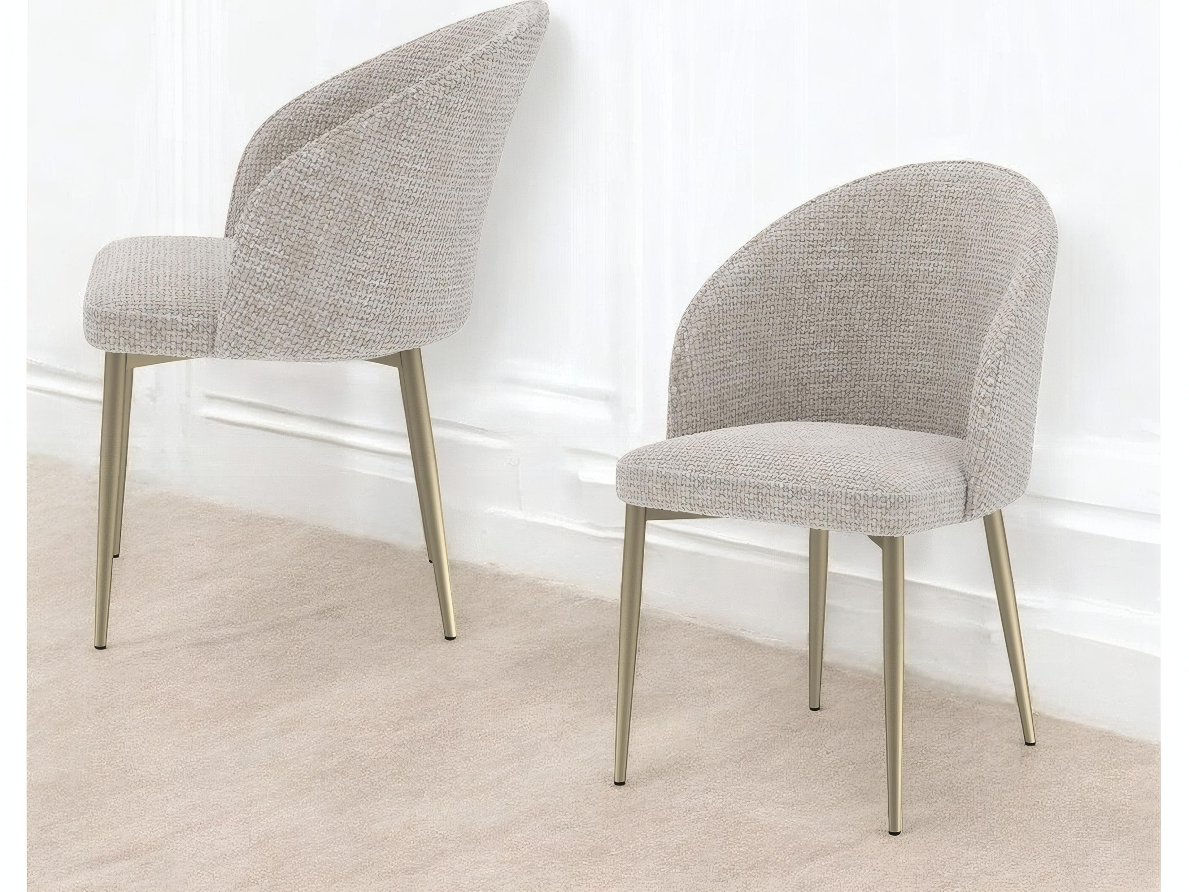 Acme Furniture Cora Plywood Champagne Upholstered Armless Dining Chair Set of 2