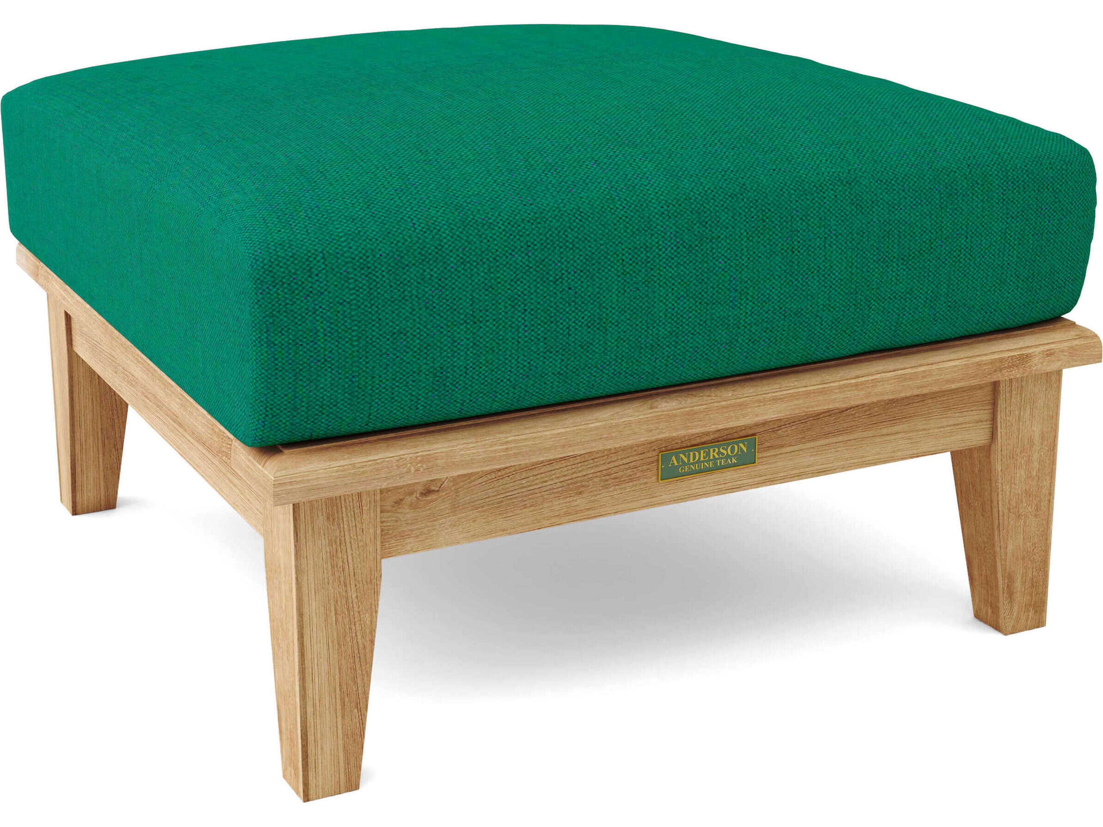 Brianna Outdoor Ottoman with Cushion