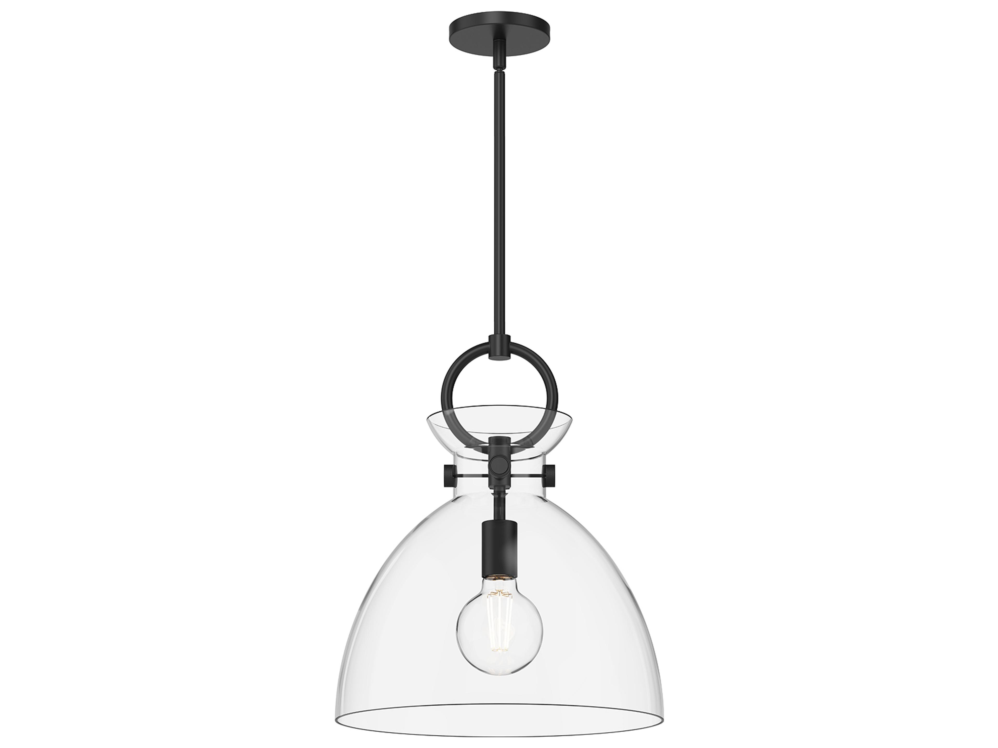 Waldo Pendant Light in Matte Black with Clear Glass
