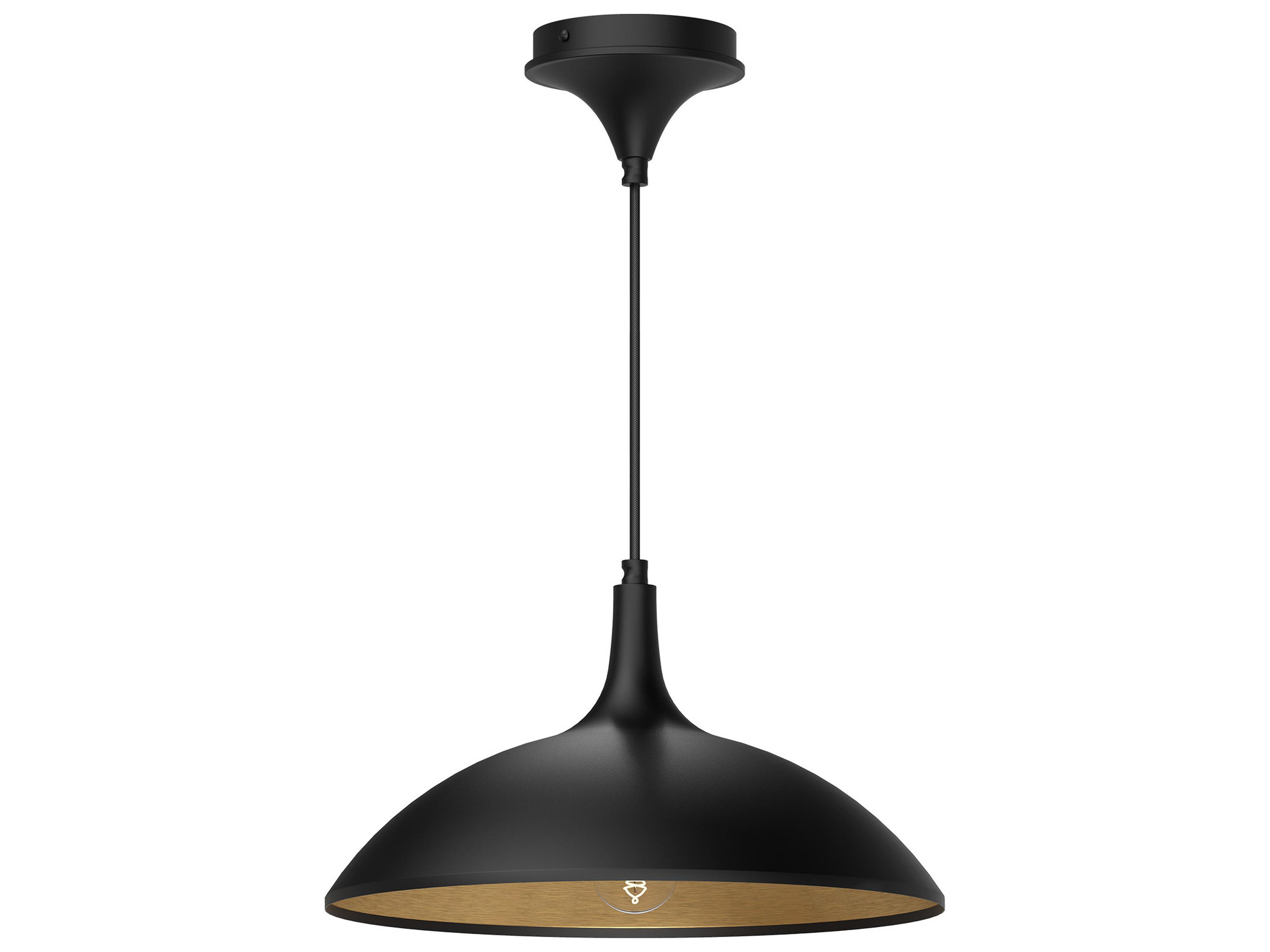 Abel Pendant Light in Matte Black