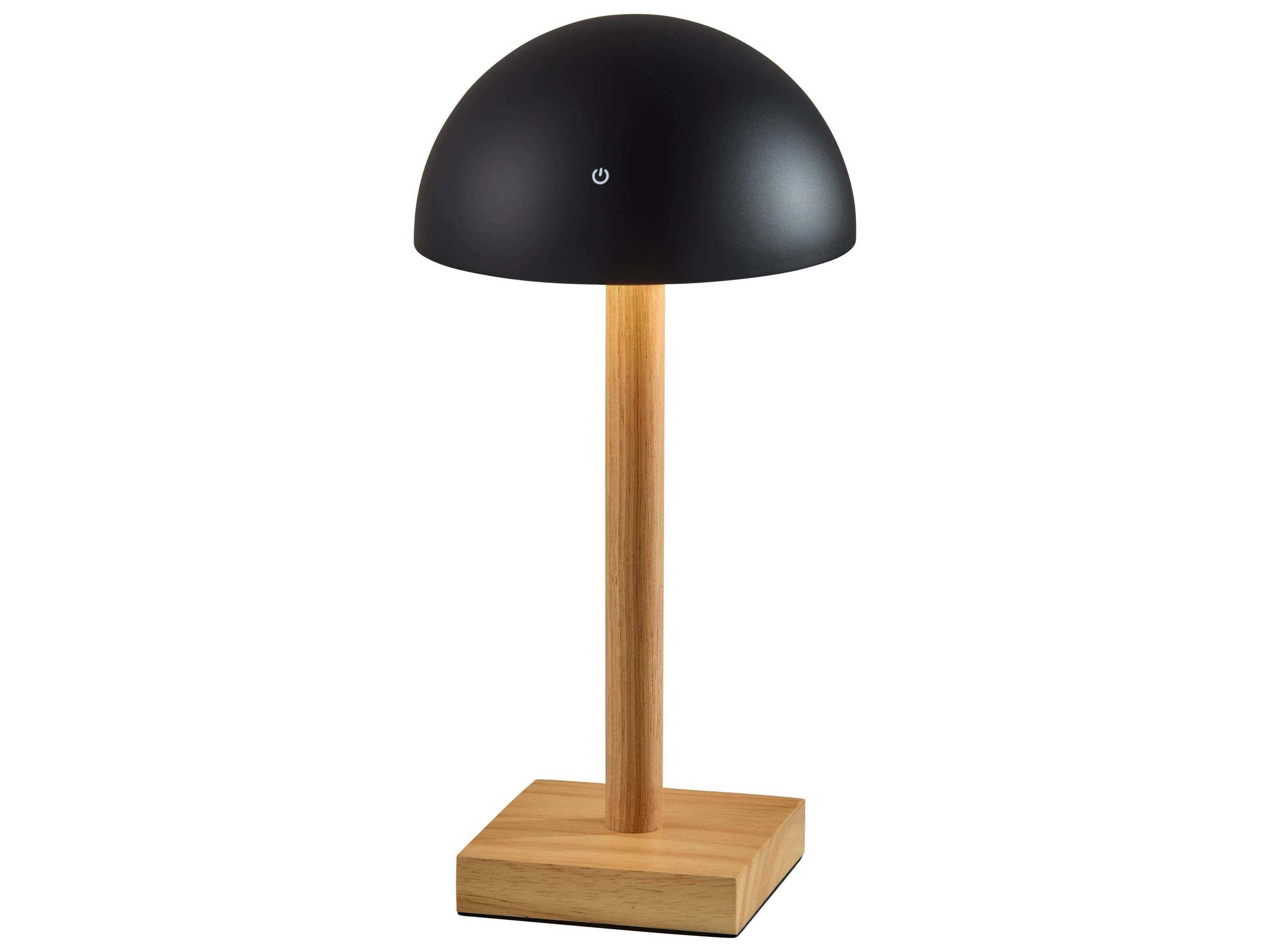 Nash LED Cordless Table Lamp Natural Wood