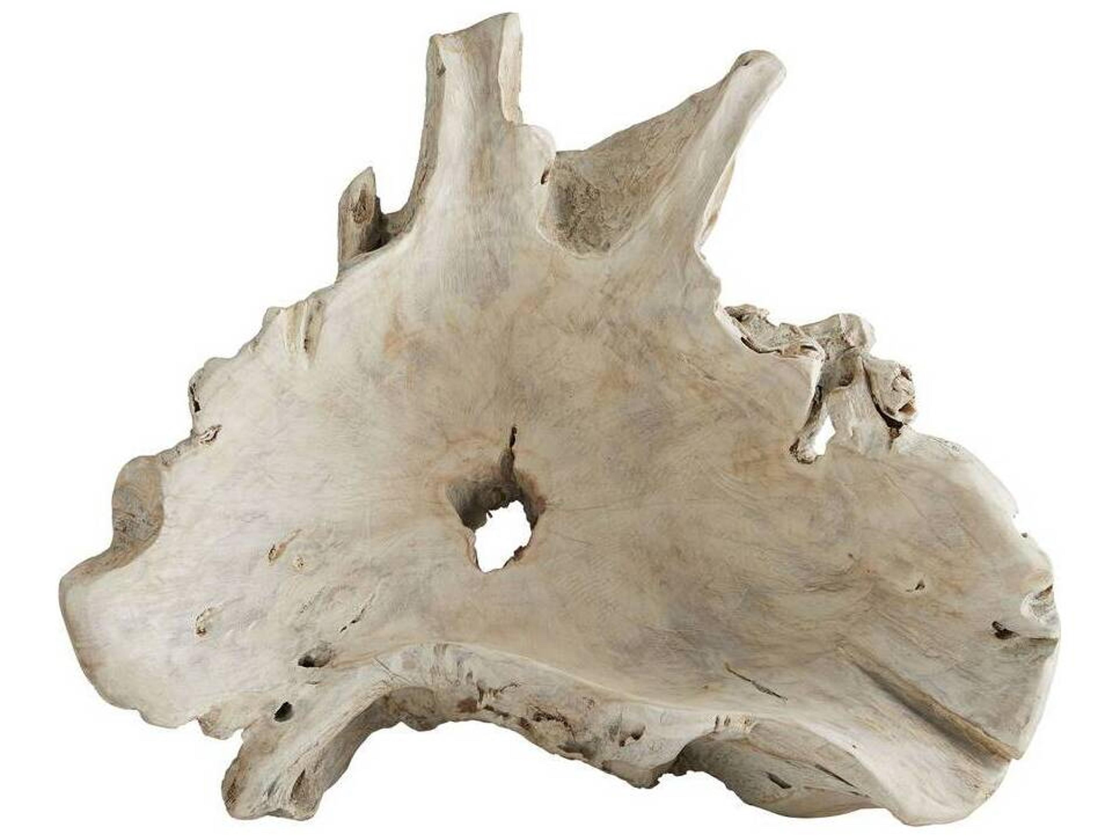 Arteriors Home Nantucket White Wash Decorative Bowl