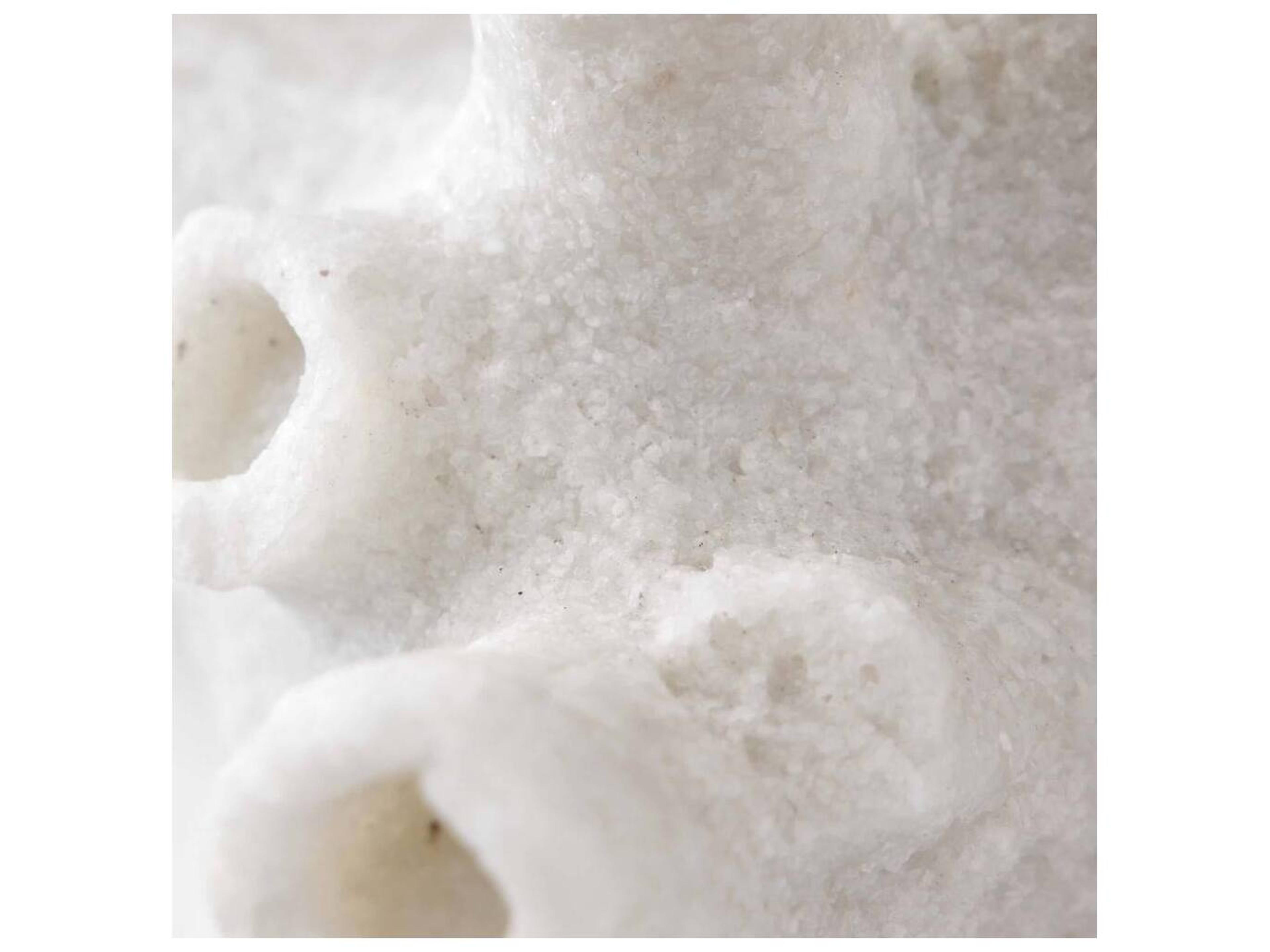 Arteriors Home Ivory Sculpture