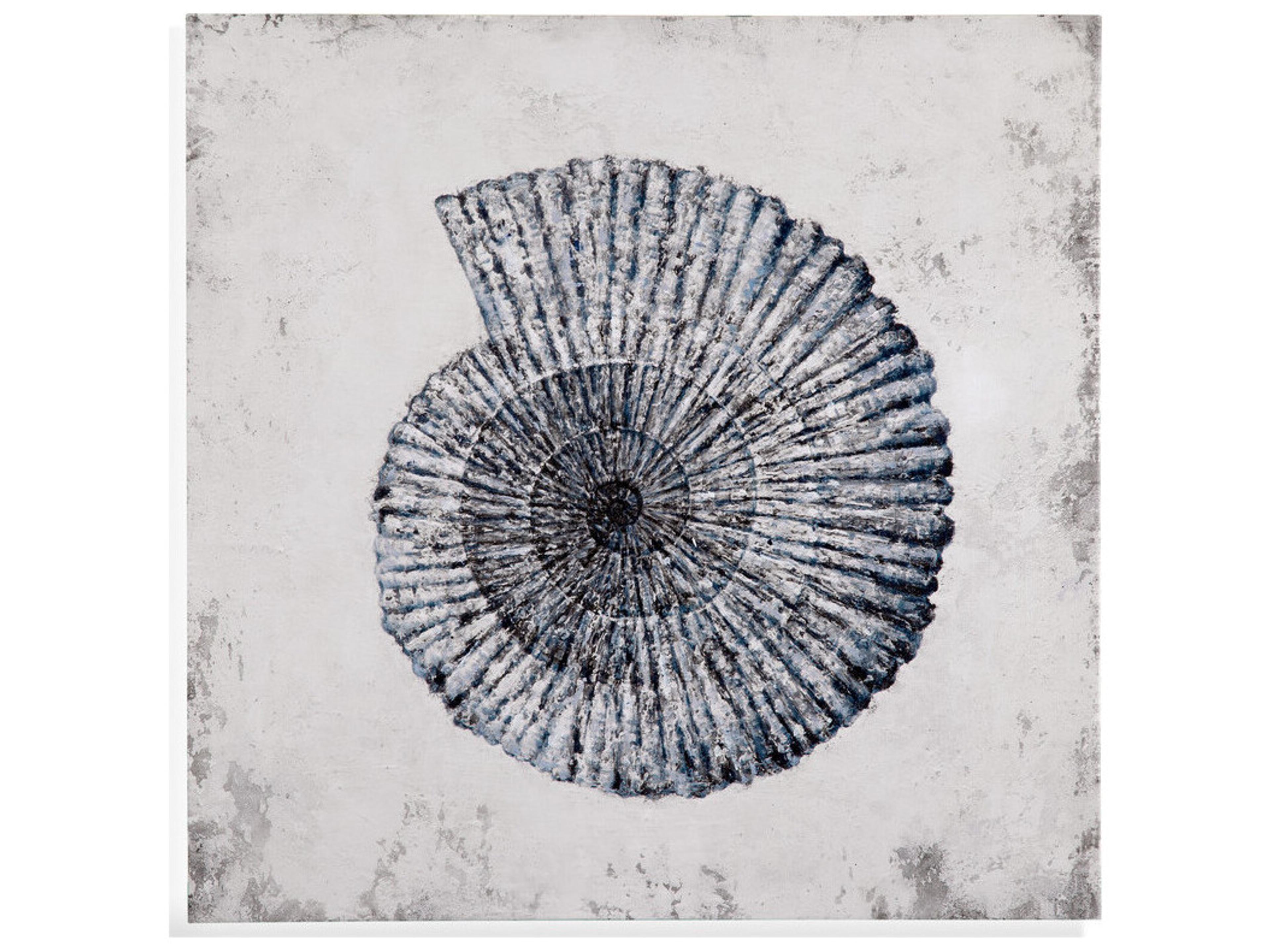 Shell-II Wall Art