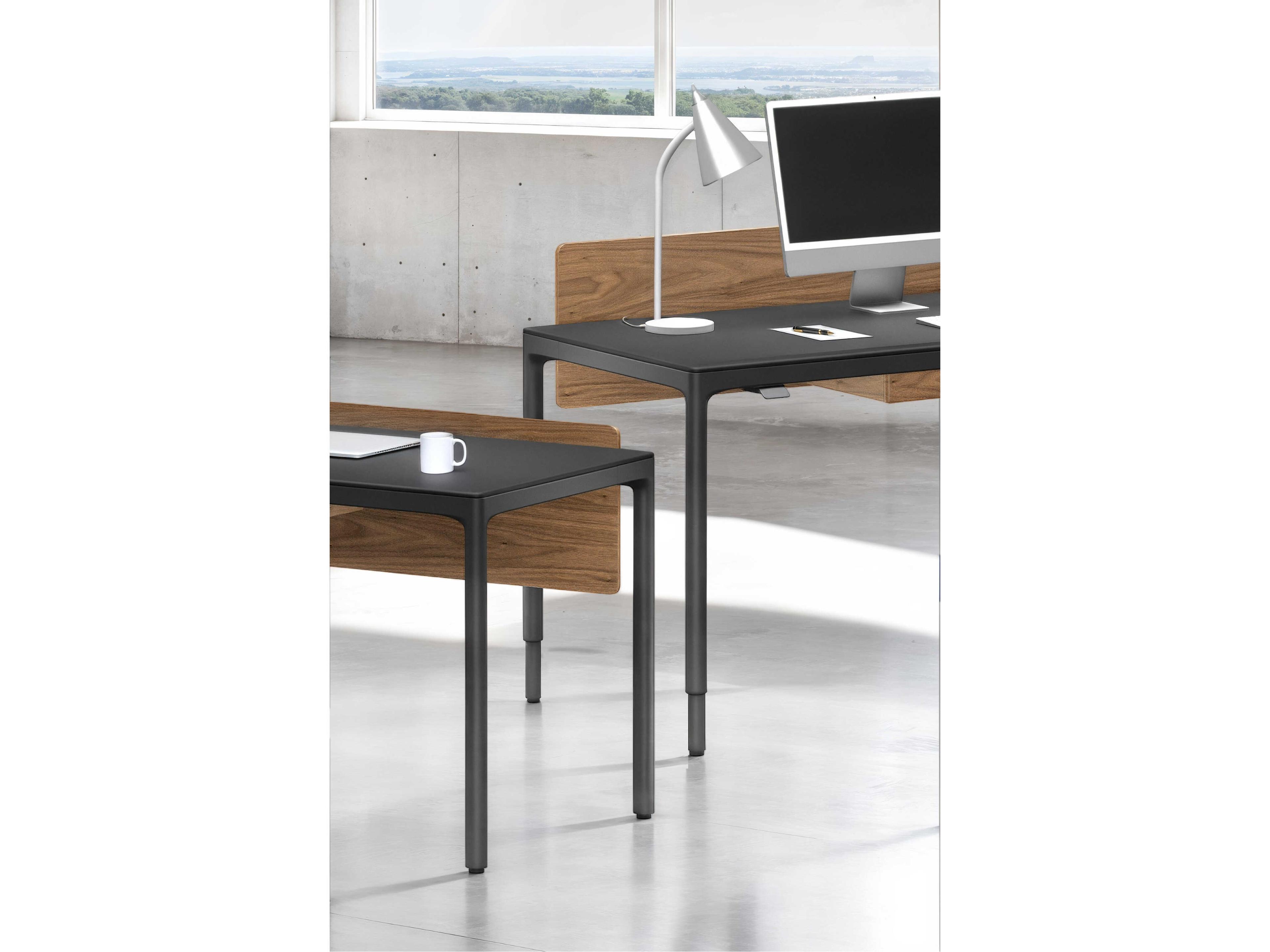 BDI Luma Natural Walnut Adjustable Back Panel