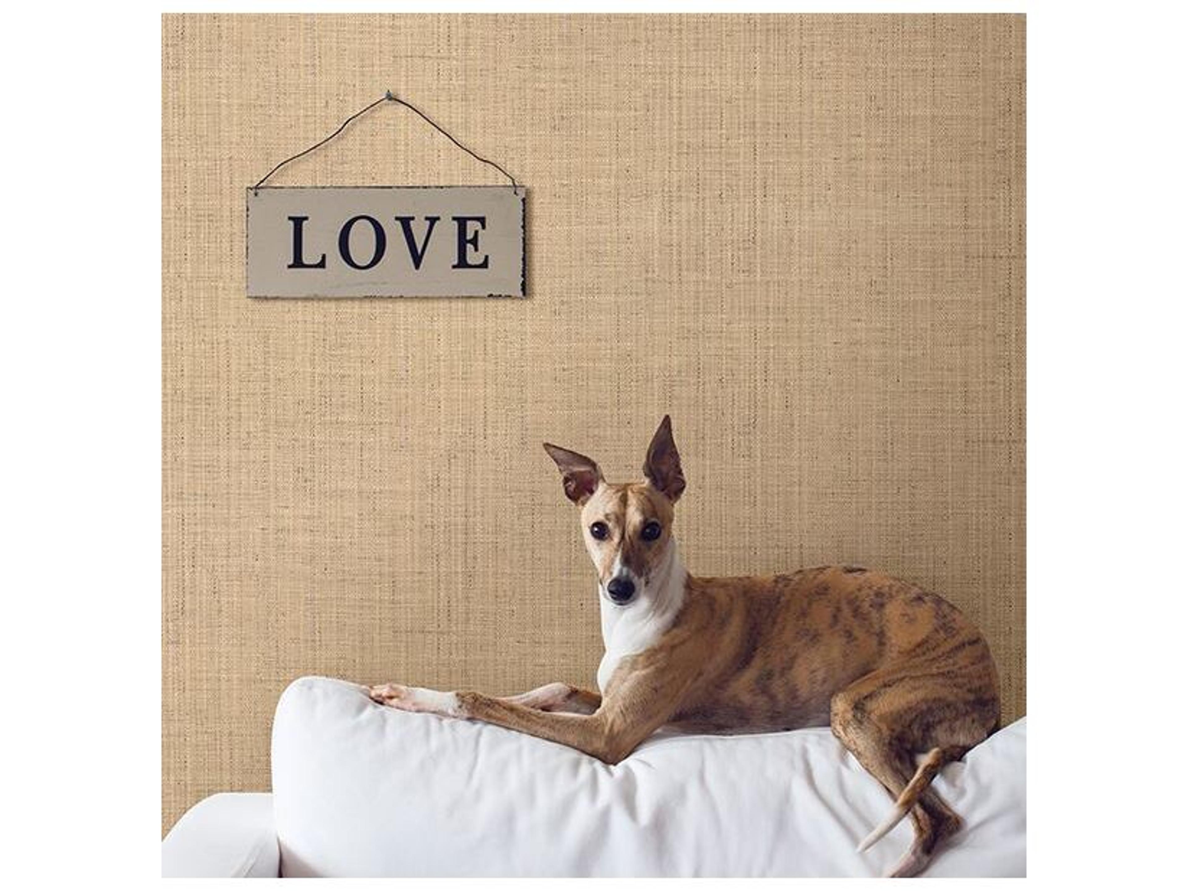 Brewster Home Fashions Warner Textures Jonus Honey Faux Grasscloth Wallpaper