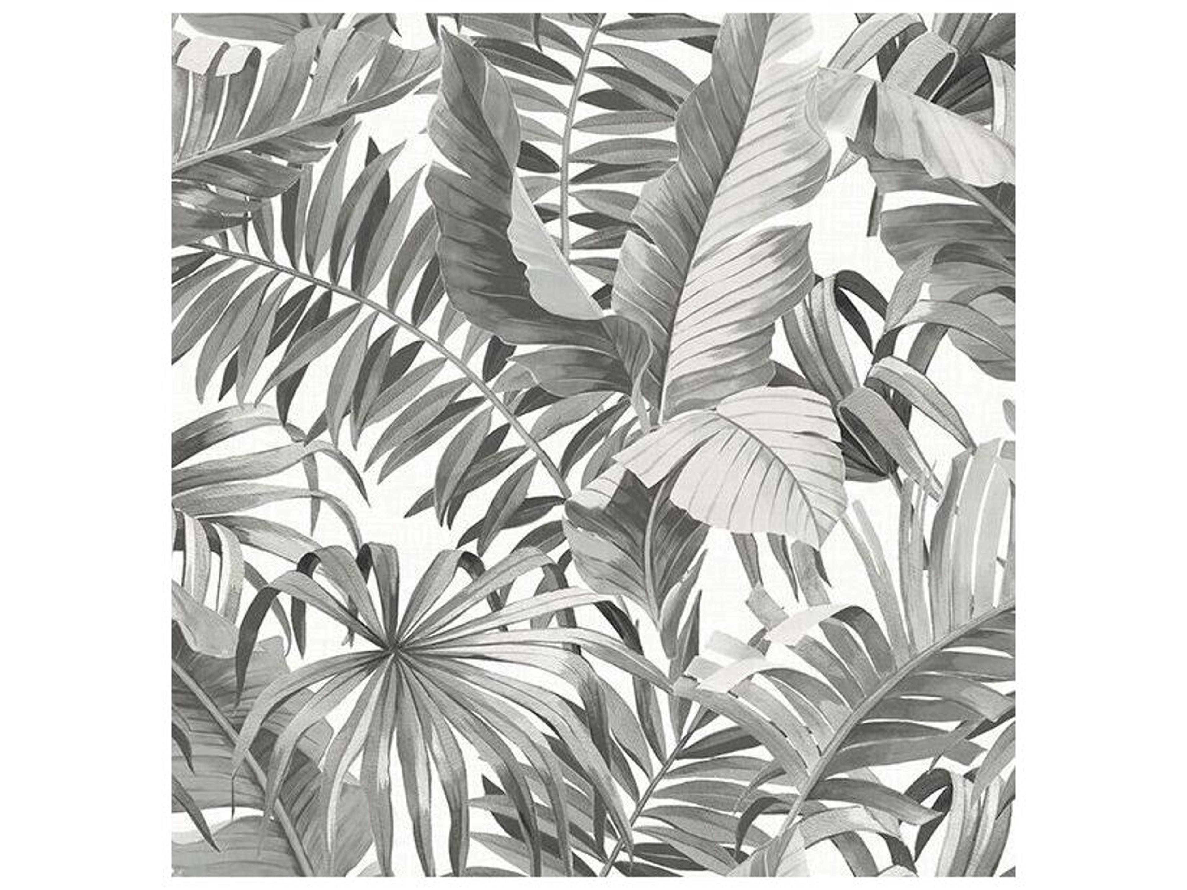 A-Street Prints Alfresco Black Palm Leaf Non-Woven Wallpaper