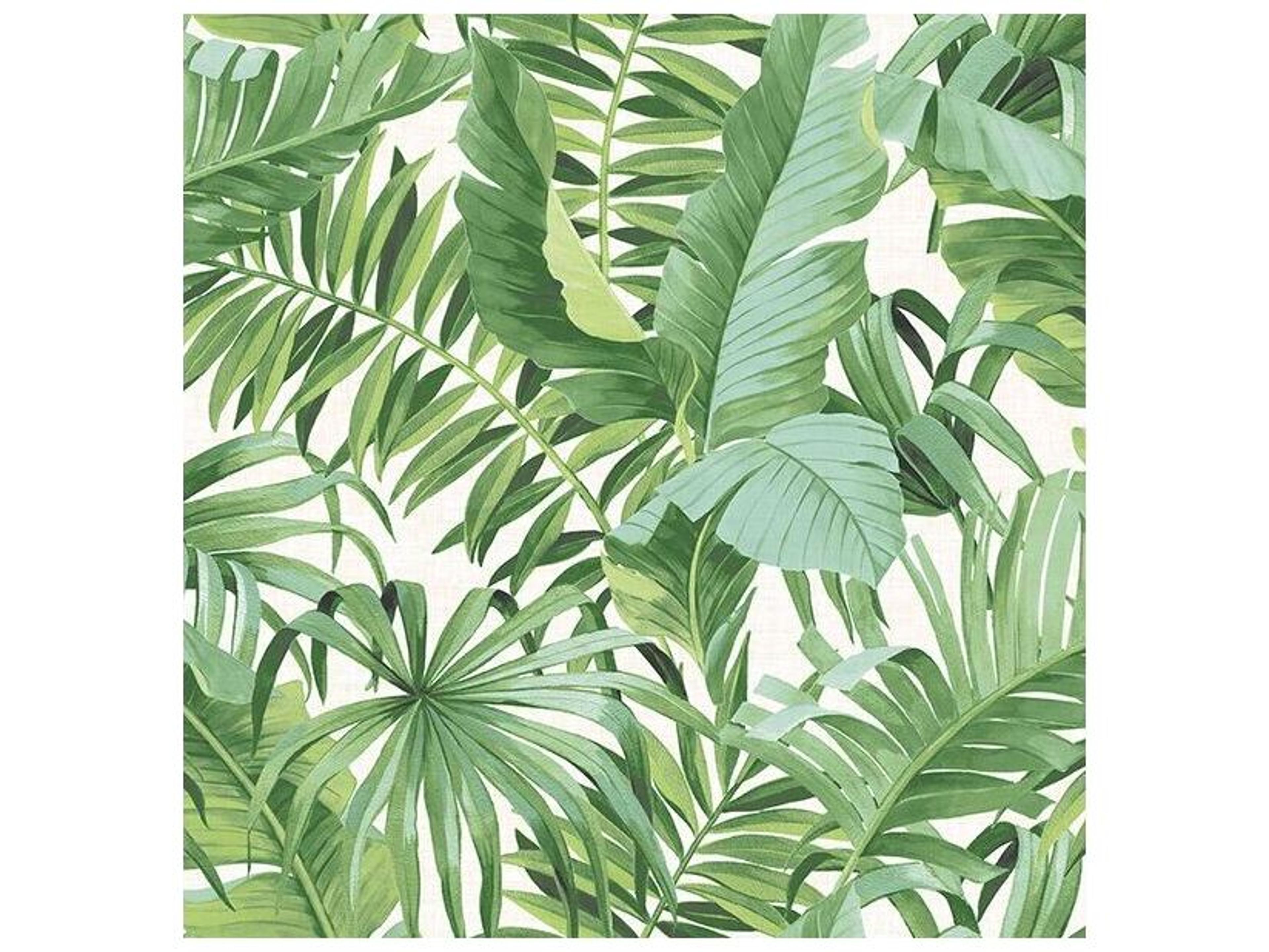 Alfresco Green Palm Leaf Non-Woven Wallpaper