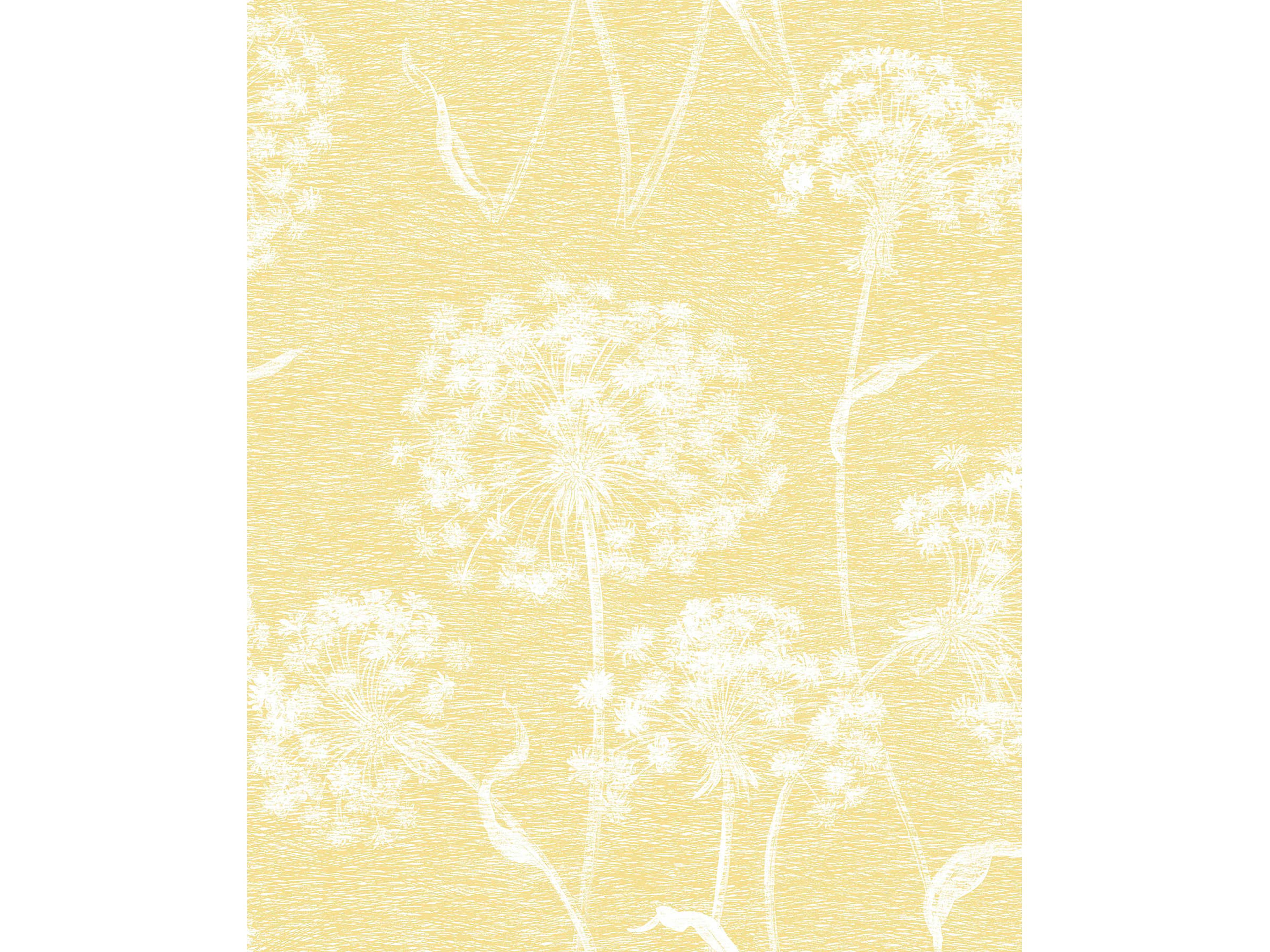 Brewster Home Fashions Advantage Carolyn Yellow Dandelion Wallpaper Carolyn Yellow Dandelion Wallpaper