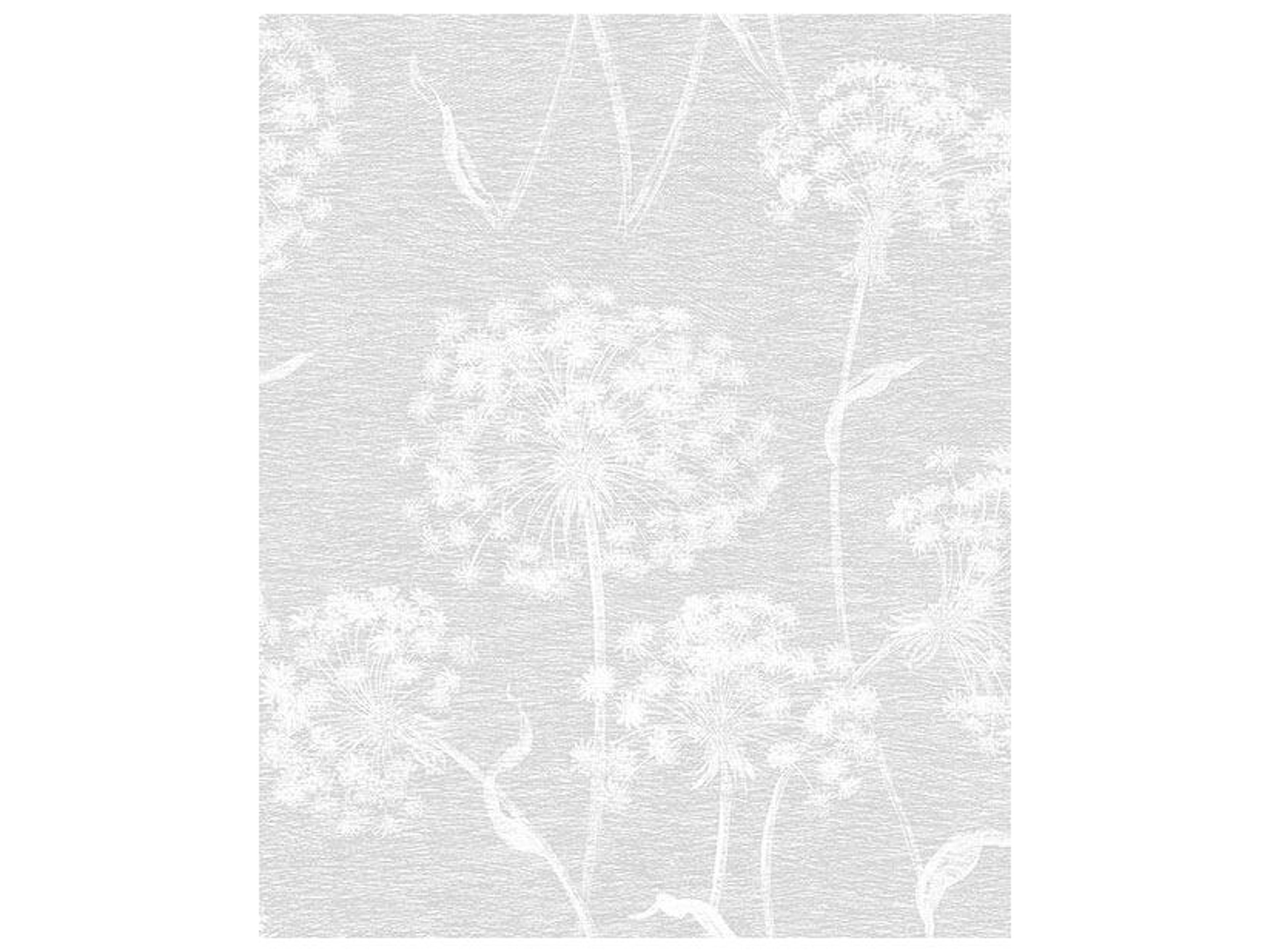 Advantage Carolyn Light Grey Dandelion Wallpaper Carolyn Light Grey Dandelion Wallpaper