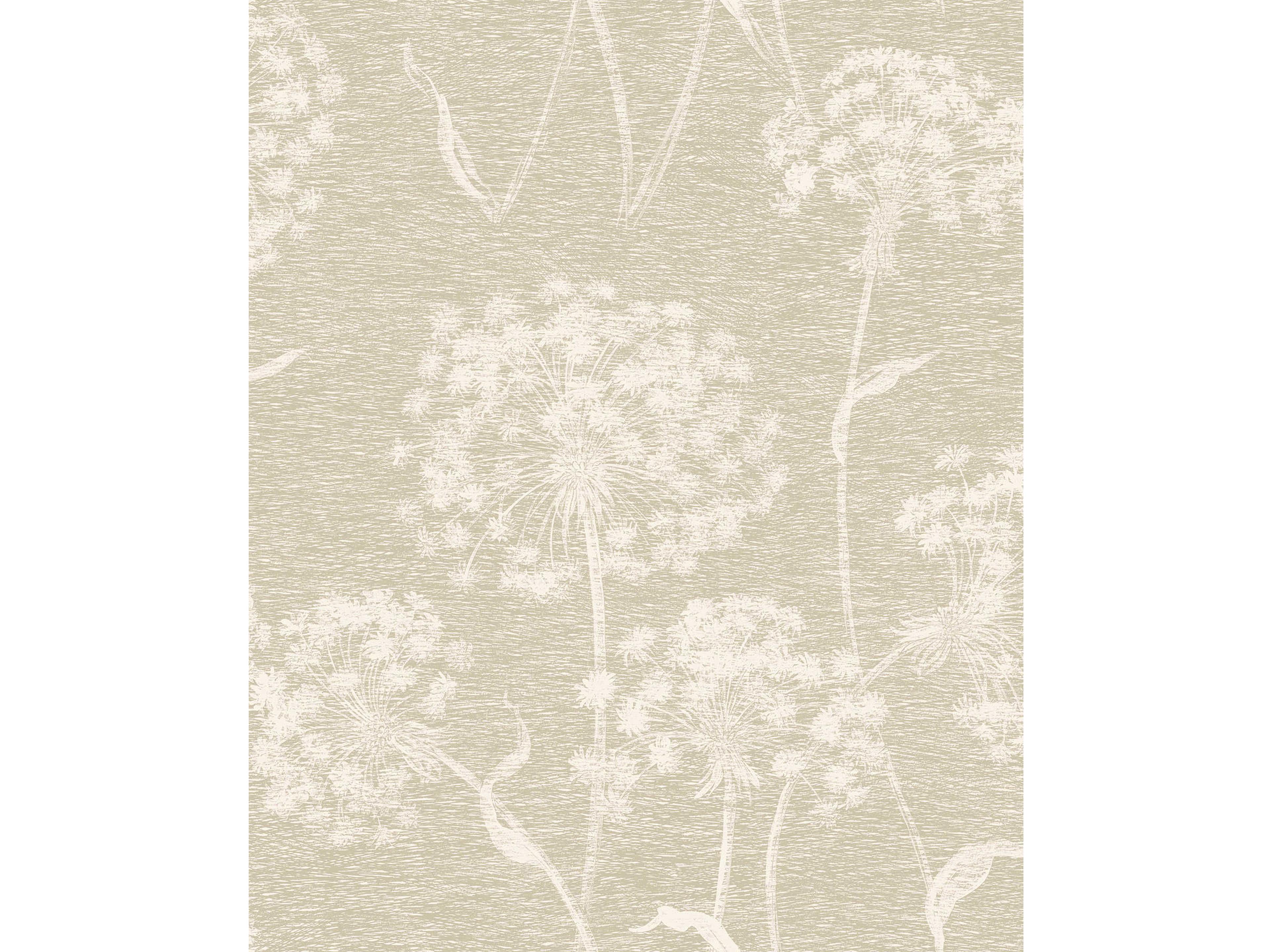 Brewster Home Fashions Advantage Carolyn Bone Dandelion Wallpaper Carolyn Bone Dandelion Wallpaper