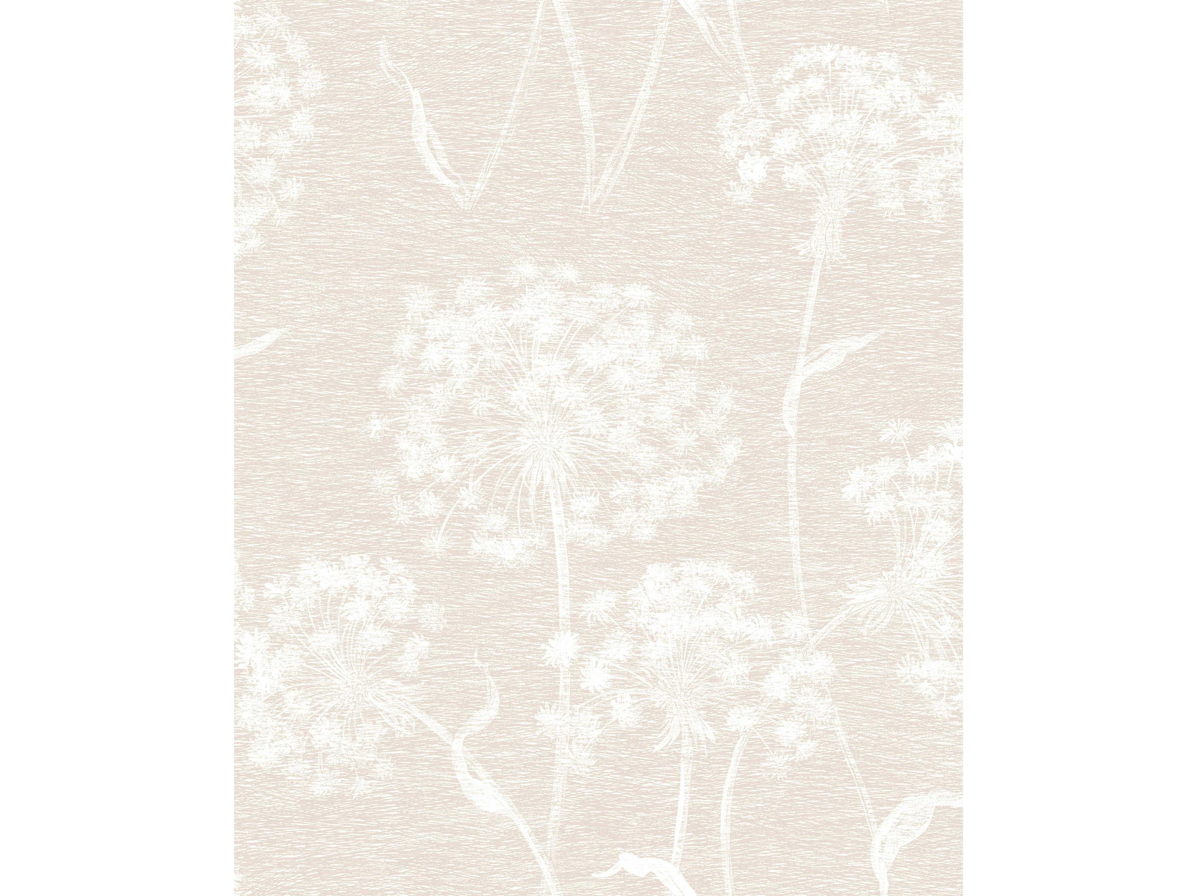 Brewster Home Fashions Advantage Carolyn Cream Dandelion Wallpaper Carolyn Cream Dandelion Wallpaper