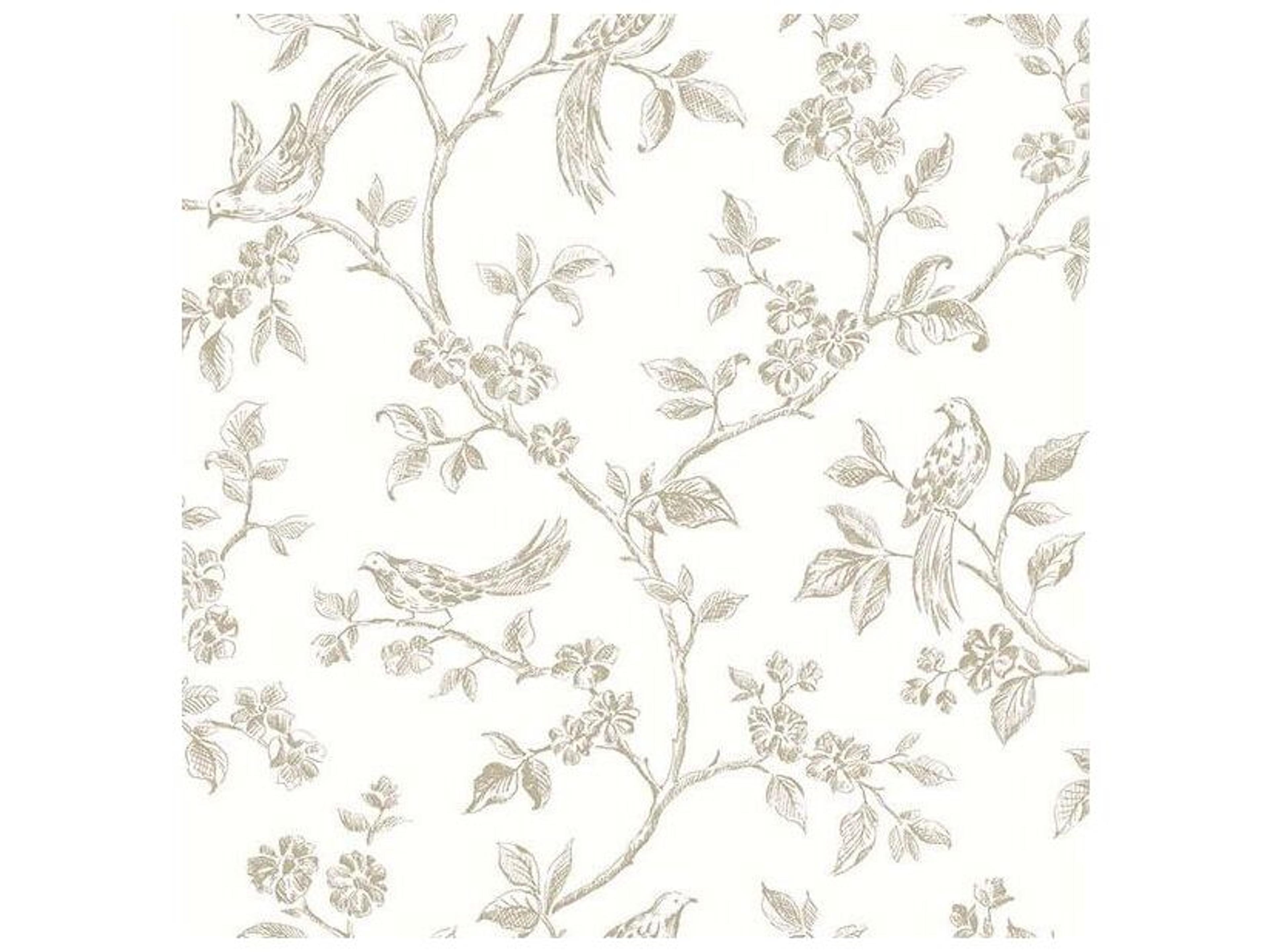 Brewster Home Fashions Advantage Ray Taupe Bird Trail Wallpaper Ray Taupe Bird Trail Wallpaper