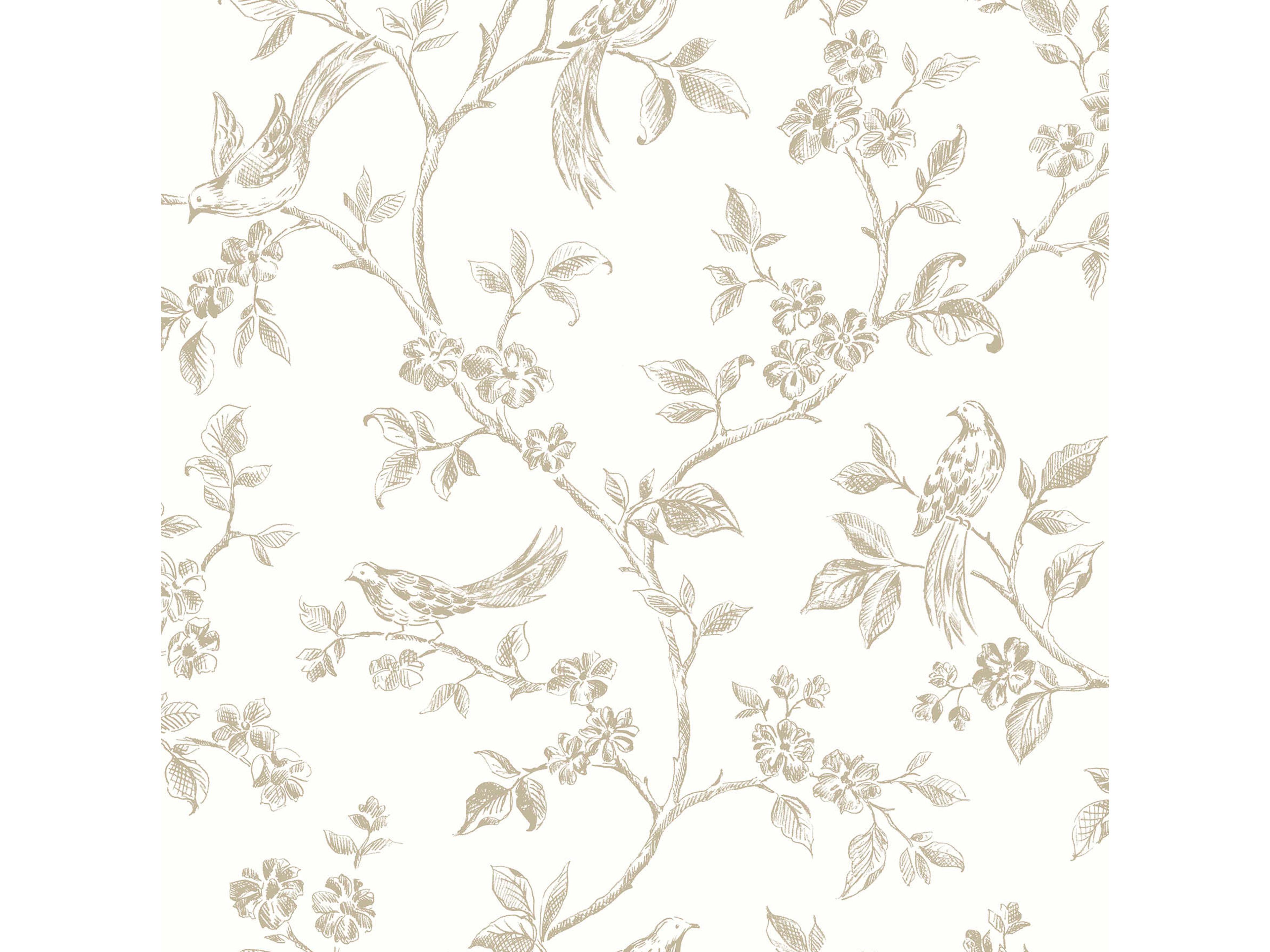 Brewster Home Fashions Advantage Ray Taupe Bird Trail Wallpaper Ray Taupe Bird Trail Wallpaper